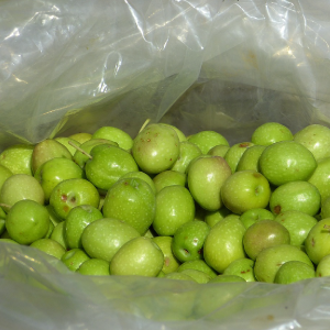 Aceitunas verdes